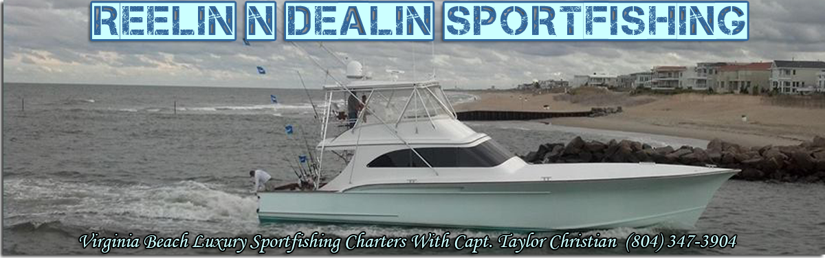 Va Beach Fishing Charter Boat