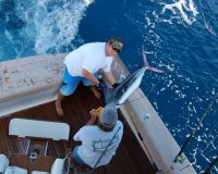 va beach fishing 14 20200329