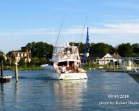 va beach fishing 29 20200329