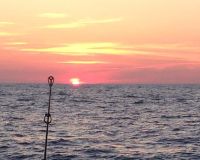 va beach fishing 31 20200329